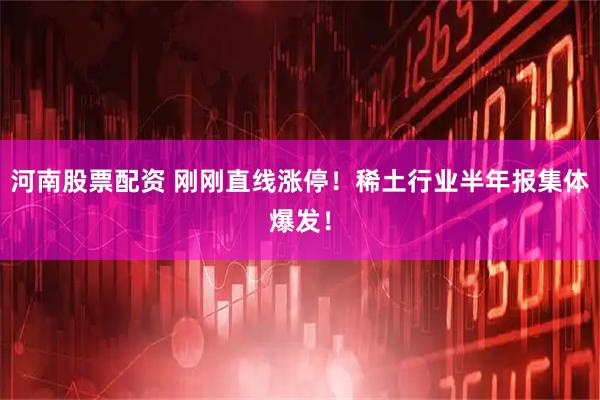河南股票配资 刚刚直线涨停！稀土行业半年报集体爆发！