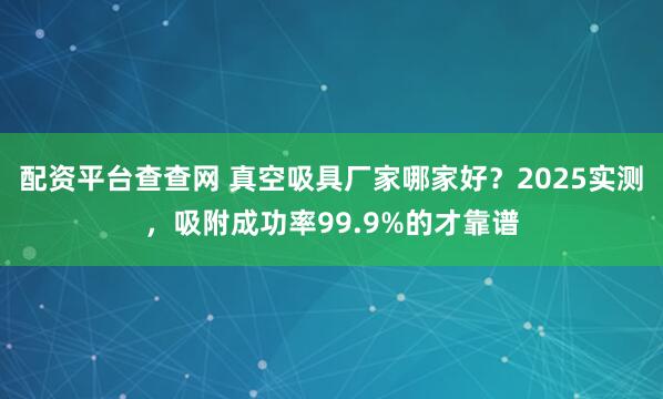 配资平台查查网 真空吸具厂家哪家好？2025实测，吸附成功率99.9%的才靠谱